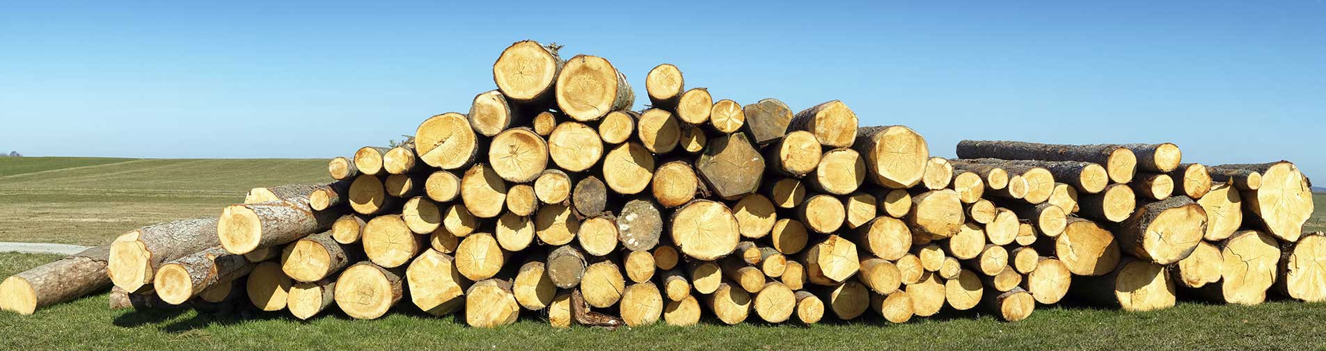 Holz Stapel